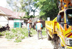 PLN UP3 Lubuklinggau Sambut Hari Kesaktian Pancasila dengan Pembersihan Jalur Listrik Jalan Lintas Sumatera