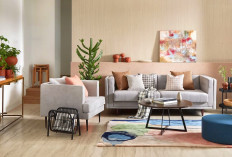 7 Jenis Sofa Minimalis Ini Bikin Rumah Minimalis Jadi Lebih Manis dan Estetis