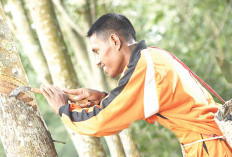 Kiat Bekerja Agar juga Dapat Tiket ke Surga