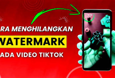 Unduh Foto Video dari Aplikasi TikTok Tanpa Watermark, Begini Cara Foto Lebih Estetik Tanpa Label 