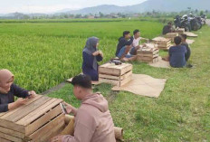 Momen Sarapan yang Tak Terlupakan, Sensasi Menyeruput Kopi dengan View Bukit Botak dan Bukit Cogong