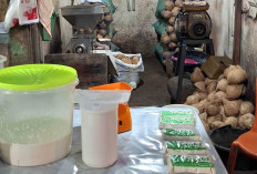 Harga Santan Stabil Rp 25.000 Per Kg