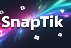 SnapTik Tidak Menyimpan Data Pengguna, Benarkah? Ini Faktanya