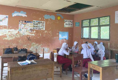 Kursi Belajar di SDN 28 Lubuk Linggau Banyak Rusak, ini Harapan Kepsek