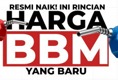 Harga BBM Naik Pada November 2024, Ini Daftar Harga BBM di Sumbagsel