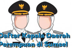 5 Daftar Kepala Daerah Perempuan Terpilih di Sumsel pada Pilkada 2024