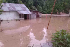 27 Rumah Terendam Banjir 
