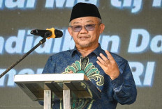 Kabar Baik, Bakal Ada Pengangkatan Pustakawan Sekolah