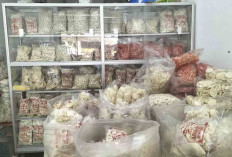 Zika Snack 2 Ready Banyak Kerupuk Kemplang Buka 24 Jam Selama Ramadan