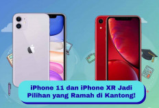 Pelajar Wajib Tahu! iPhone 11 dan iPhone XR Jadi Pilihan yang Ramah di Kantong