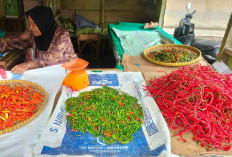 Harga Cabe Mulai Naik, Beda Harga di Dua Pasar Tradisional Lubuk Linggau
