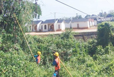 K3L PLN UP3 dan PLN ULP Lubuk Linggau Tingkatkan Pengawasan ROW dan Pemeliharaan Jaringan