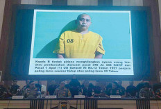 Sabung Ayam Maut, Oknum TNI dan Polisi Jadi Tersangka