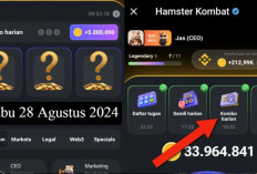 Combo Harian Hamster Kombat Hari Ini 28 Agustus 2024, Garap Hingga 5 Juta Koin Gratis