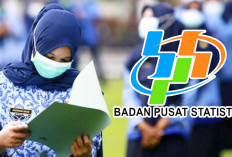 Peluang Jadi CPNS di BPS, Rekrutmen Prodi Statistik Ada Program Kuliah Gratis Simak Selengkapnya 