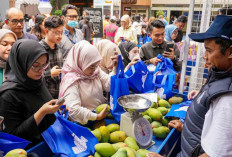 Bazar UMKM BRIliaN Bantu Berdayakan dan Perluas Pasar Pelaku Usaha