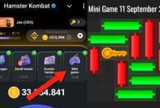 Kunci Mini Game Hamster Kombat Hari Ini Rabu 11 September 2024, Ini Polanya