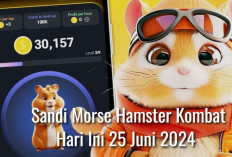 Jutaan Koin Game Hamster Kombat Menanti, Berikut Sandi Morse Hamster Kombat Hari Ini 25 Juni 2024