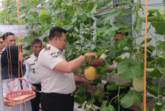 Lapas Narkotika Kelas IIA Muara Beliti Komitmen Dukung Program Ketahanan Pangan Melalui Pembinaan Kemandirian