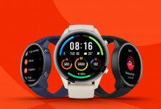 Top 4 Rekomendasi Smartwatch PREMIUM dengan Layar AMOLED Terbaik 2024