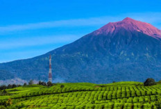 Sensasi Ngopi dan Camping Syahdu, Nikmati Sejuknya Sungai Penuh Jadi Pilihan Akhir Pekan