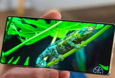 Samsung Galaxy S26 Ultra Bawa Teknologi Layar Baru, Visualnya Disebut Naik Kelas