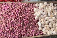Update Harga Bawang di Pasar Inpres Lubuk Linggau