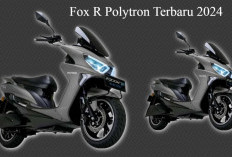  Intip Harga Motor Listrik, Fox R Polytron Terbaru 2024 Begini Simulasi Cicilannya