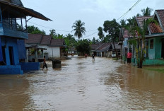 Ratusan Rumah di Pasenan Musi Rawas Terendam Banjir