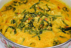 Gulai Kembaang Masakan Tradisional jadi Warisan Rasa dari Bengkulu Selatan