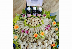 Pempek 3 Putri Lubuk Linggau Rp 1.000-an Layani Order Tumpeng Ulang Tahun