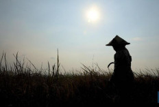 Petani di Musi Rawas Ditemukan Meninggal Dunia Diduga Gantung Diri di Kamar Mandi