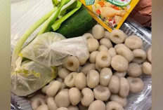 Tekwan Sagu Home Made, Praktis dan Nikmat Untuk Segala Suasana