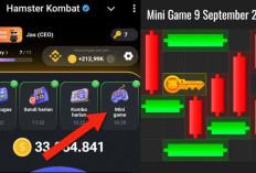 Kunci Mini Game Hamster Kombat Hari Ini Senin 9 September 2024, Ini Polanya