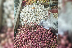 Harga Bawang Stabil, Pembeli Mulai Ramai Jelang Hari Raya