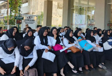 CPNS 2026 dan Skema Single Salary PNS: Benarkah Akan Dimulai Bersamaan?