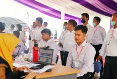 CPNS 2026: Bocoran Formasi Baru, Jadwal Resmi, dan Syarat Daftar Lengkap untuk ASN