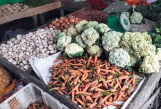 Wortel Mulai Langka, Pedagang di Lubuk Linggau Keluhkan Pasokan dari Curup Tersendat 