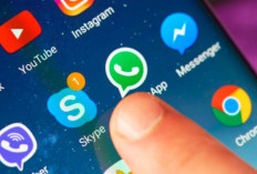 WhatsApp Makin Sepi Peminat Ini Aplikasi Penggantinya, Punya Jangkauwan Lebis Luas dan Fitur Lengkap