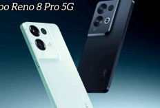 Spesifikasi Oppo Reno 8 Pro 5G, Hp Stylish Dengan Kamera Canggih dan Performa Tangguh