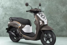 Honda Scoopy 2026 Tampil Lebih Elegan, Cocok Buat Anak Muda hingga Pekerja