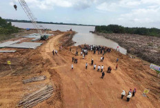 Pabrik Bahan Baku Bio-Avtur Resmi Dibangun di Sumsel, Nilai Investasi Rp 310 Miliar