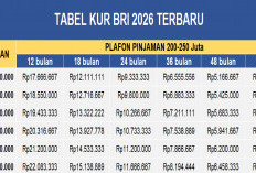 Tabel KUR BRI 2026 Pinjaman Rp250 Juta Terbaru: Ini Estimasi Cicilan, Syarat, dan Tips Agar Disetujui