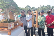 Spektakuler, Ratusan Bonsai di Indonesia Ikut Pameran yang Diadakan PPBI Lubuk Linggau Musi Rawas