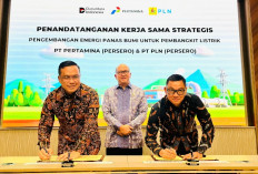 Diinisiasi Danantara, PLN – Pertamina Teken Kerja Sama Pengembangan Energi Panas Bumi Nasional