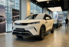 BYD Atto 2 Resmi Jadi Sorotan, SUV Listrik 300 Jutaan dengan Fast Charging 30 Menit