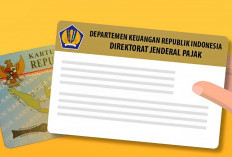 11 Jenis Wajib Pajak yang Bisa Menonaktifkan NPWP dengan Cara Online 