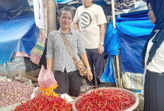 Harga Tak Menentu dan Sepi Pembeli Pedagang Cabai di Lubuk Linggau Pilih Beralih Jualan Sayur