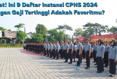 Catat! Ini 9 Daftar Instansi CPNS 2024 dengan Gaji Tertinggi, Adakah Favoritmu?