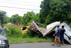 Dua Mobil Box Tabrakan di Musi Rawas, Satu Korban Luka di Bagian Kepala